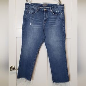 Torrid Size 16R Stovepipe Straight Classic Denim Hi-Rise Jeans Lightly D…